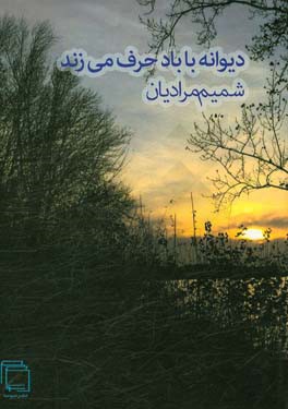 دیوانه با باد حرف می‌زند