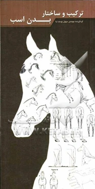 ترکیب و ساختار بدن اسب