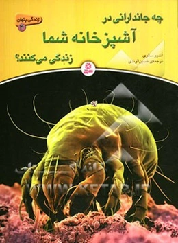 چه جاندارانی در آشپزخانه شما زندگی می‌کنند؟