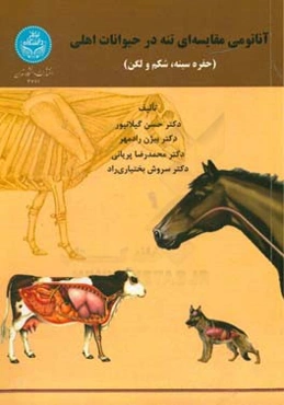 آناتومی مقایسه‌ای تنه در حیوانات اهلی (حفره سینه، شکم و لگن)