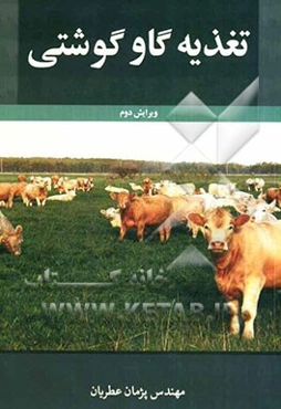 تغذیه گاو گوشتی