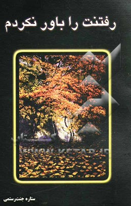 رفتنت را باور نکردم