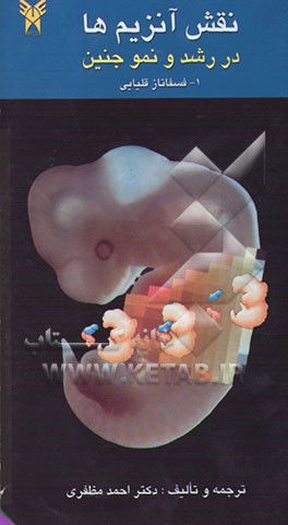 نقش آنزیم‌ها در رشد و نمو جنین: 1- فسفاتاز قلیایی  (EC 3.1.3.1) "نقش فیزیولوژیک و کاربرد تشخیصی آنزیم