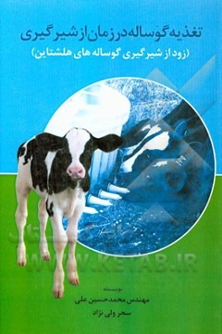 تغذیه گوساله در زمان از شیرگیری (زود از شیرگیری گوساله‌های هلشتاین)