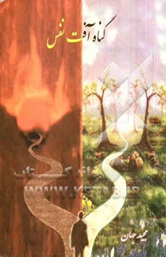 گناه آفت نفس (نگرشی بر ناهنجاریهای فردی و اجتماعی گناه)