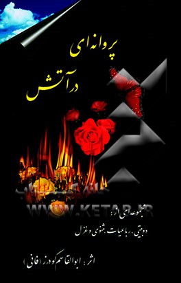 پروانه‌ای در آتش