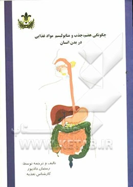 چگونگی هضم، جذب و متابولیسم مواد غذایی در بدن انسان