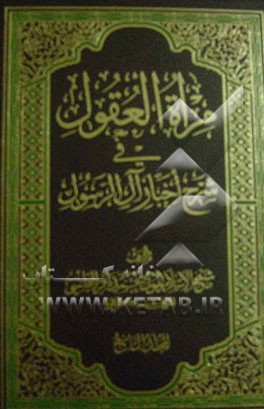 مراه العقول فی شرح اخبار آل الرسول