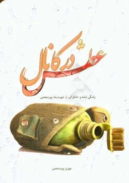 عطش در کانال: خاطراتی از شهید رضا پورمنعمی