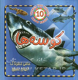 کوسه‌ها: ماهی خطرناک آبهای عمیق