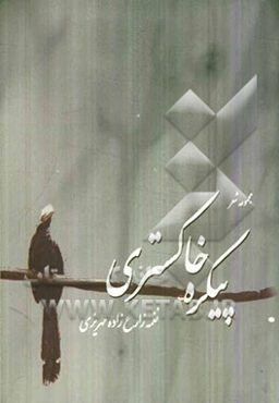 پیکره خاکستری: مجموعه شعر