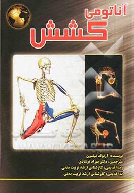 آناتومی کشش