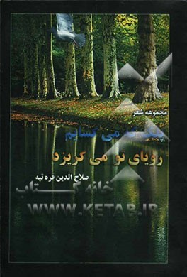 پلک که می‌گشایم رویای تو می‌گریزد (1378 - 1375