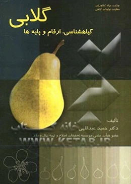 گلابی: گیاه‌شناسی، ارقام و پایه‌ها