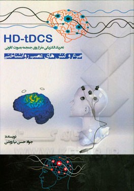 تحریک الکتریکی مغز از روی جمجمه بصورت کانونی (HD-TDCS)، صرع و کنش‌های عصب روانشناختی