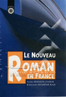 Le nouveau roman en France