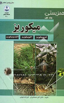 همزیستی / میکوریز