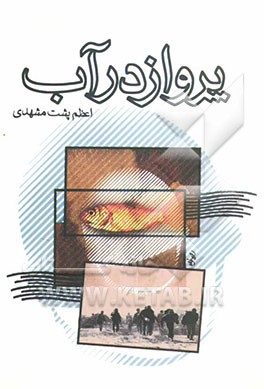 پرواز در آب