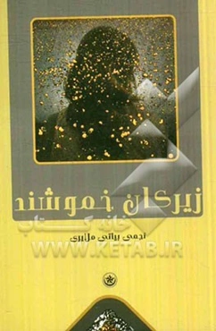 زیرکان خموشند