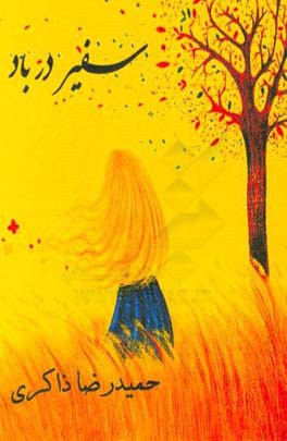 سفیر در باد