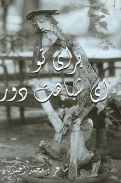 برای تو ای شباهت دور: مجموعه‌ی شعر