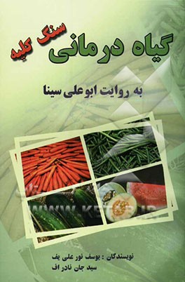 گیاه‌درمانی: درمان سنگ کلیه به روایت ابوعلی سینا