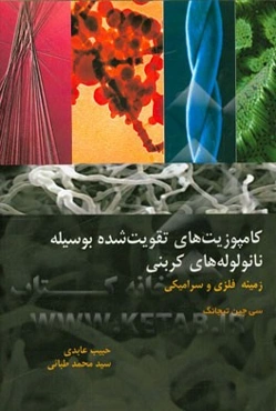 کامپوزیت‌های تقویت شده بوسیله نانولوله‌های کربنی، زمینه فلزی و سرامیکی