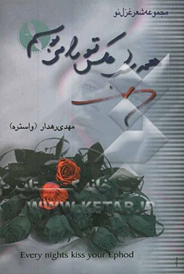 همه شب عکس تو را می‌بوسم