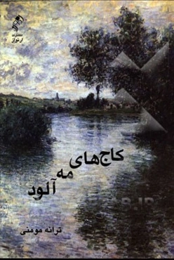 کاج‌های مه‌آلود