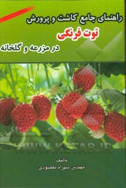 راهنمای جامع کاشت و پرورش توت فرنگی در مزرعه و گلخانه