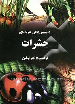 دانستنی‌هایی درباره‌ی حشرات