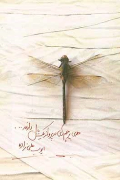 همه‌ی پرچم‌های در پرواز یک بال دارند (مجموعه شعر 95 - 90) و شعرهای پراکنده