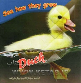 اردک چگونه رشد می‌کند (آموزش زبان انگلیسی کودکان)