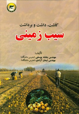 سیب‌زمینی: کاشت، داشت و برداشت