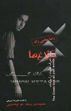 کلاغ‌ها حرف‌هایت را بردند= The crows took all your worlds