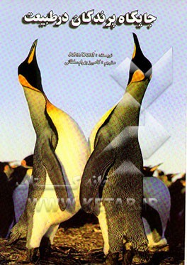 جایگاه پرندگان در طبیعت