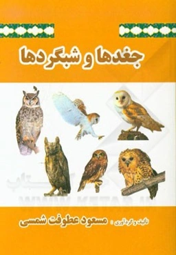 جغدها و شبگردها