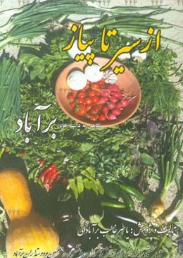 از سیر تا پیاز: نگاهی به داشته‌های برآباد