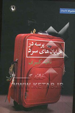 پرسه در خیابان‌های سرد: مجموعه داستان