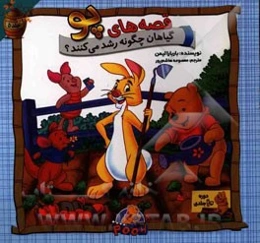 گیاهان چگونه رشد می‌کنند؟