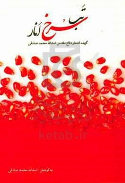 تب سرخ انار: گزیده‌ی اشعار