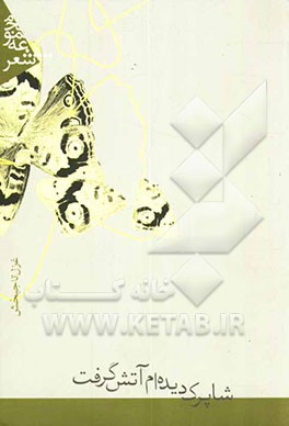 شاپرک دیده‌ام آتش گرفت!