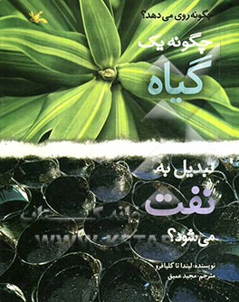 چگونه یک گیاه تبدیل به نفت می‌شود؟