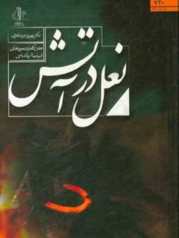 نعل در آتش: هفده گفتار در حوزه‌های ادبیات و زبان‌شناسی