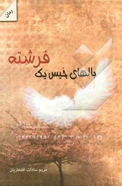 بالهای خیس یک فرشته