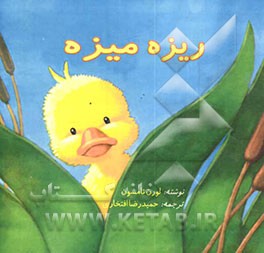 ریزه میزه
