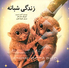 زندگی شبانه