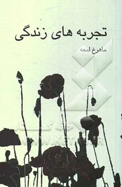 تجربه‌های زندگی: مجموعه داستان