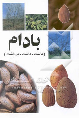 بادام کاشت، تولید و فرآوری