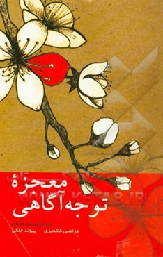 معجزه توجه آگاهی